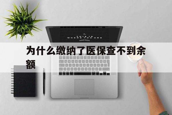 阿勒泰最新为什么缴纳了医保查不到余额方法分析(最方便真实的阿勒泰医保交了费怎么查不到方法)
